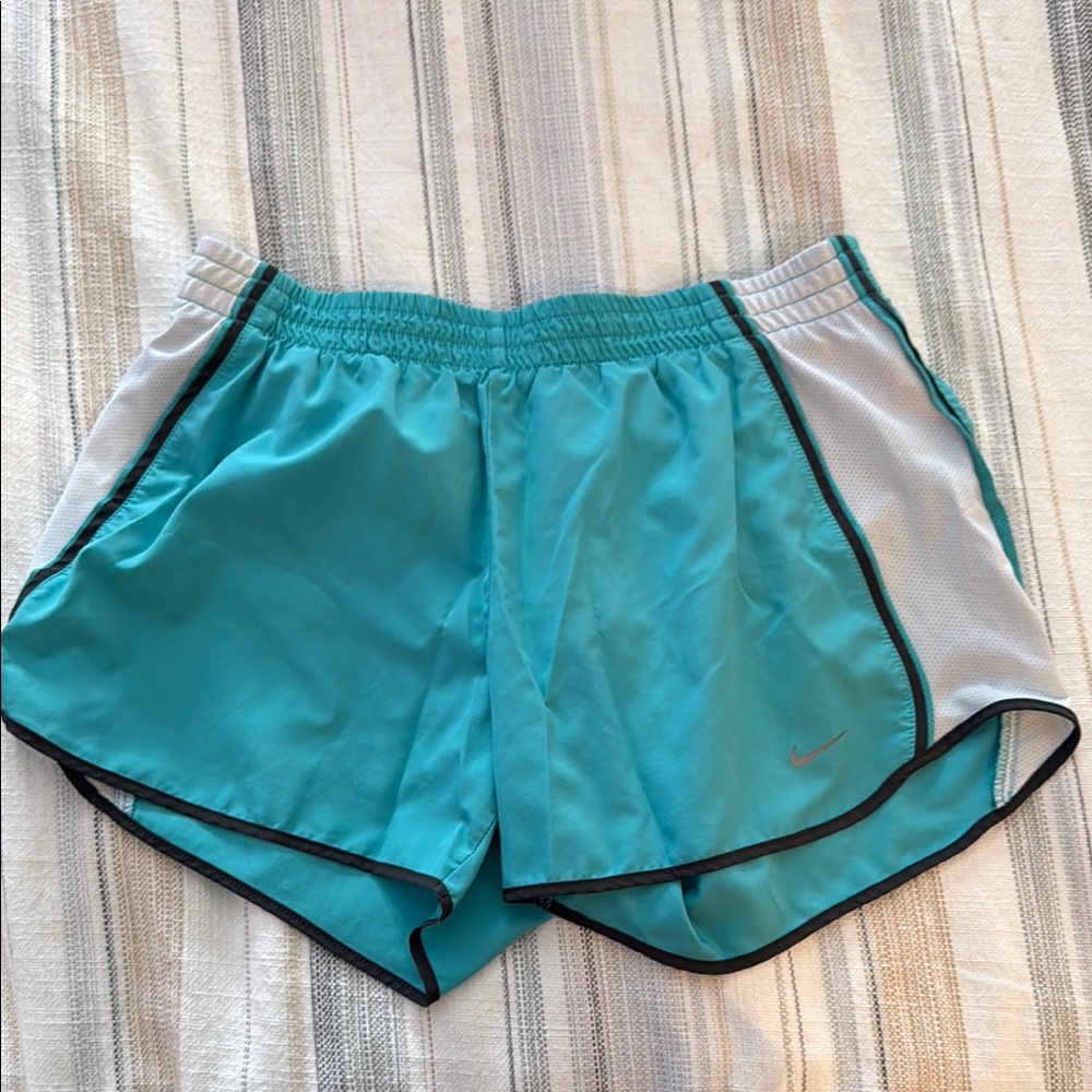 Nike Women's Teal and White Shorts